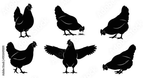 Chicken Silhouettes Collection: Various Poses, Black and White Farm Animal Graphics