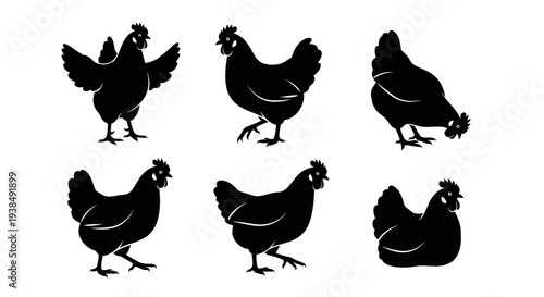 Chicken Silhouettes Collection: Various Poses of Farm Birds