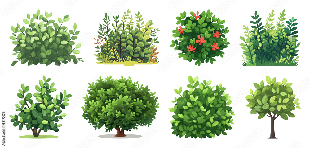 Fototapeta premium PNG Diverse lush green foliage illustrations on transparent background