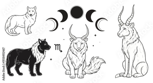 zodiac signs and animal illustrations.