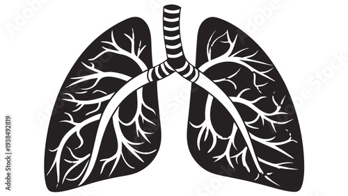 Human Lungs Black Silhouette PNG, Respiratory Organ Icon, Transparent Background