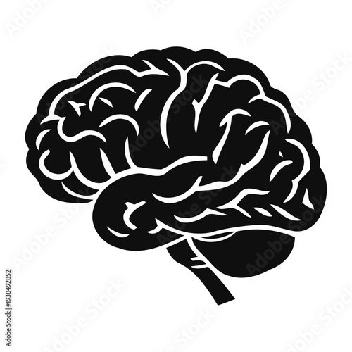 Human Brain Anatomy Illustration for Medical and Psychology Concepts