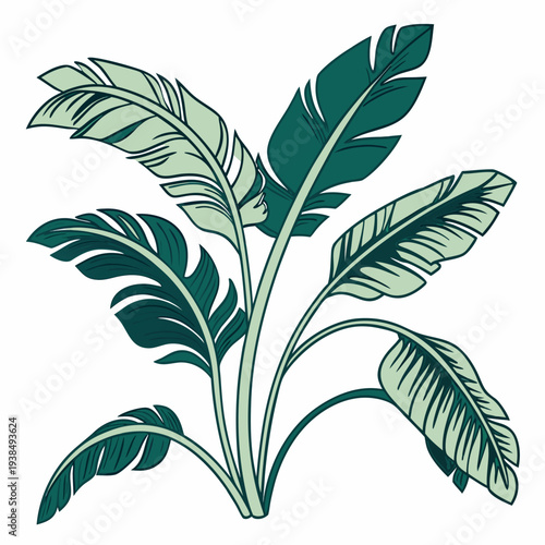 A vibrant illustration of a lush green plant with broad leaves and intricate veins. Vector