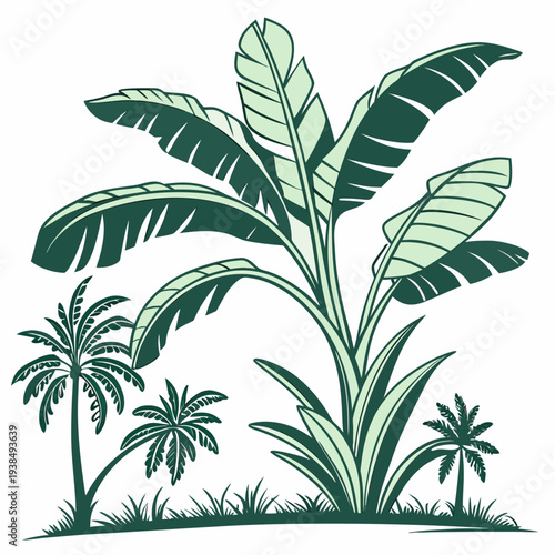 A vibrant illustration of tropical plants with large green leaves Vector