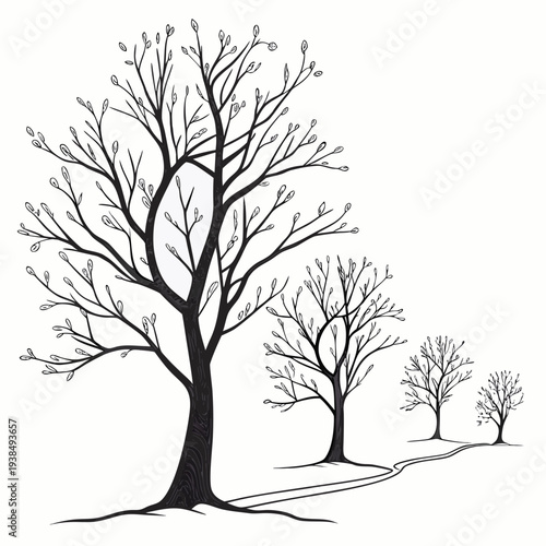 Three bare trees standing on a hillside with a distant tree in the background Vector