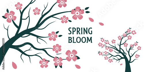 Spring blooms with delicate flowers on bare branches against a white background Vector