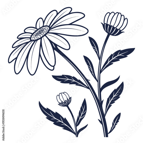 A delicate and intricate line drawing of a blooming flower with multiple buds and leaves Vector