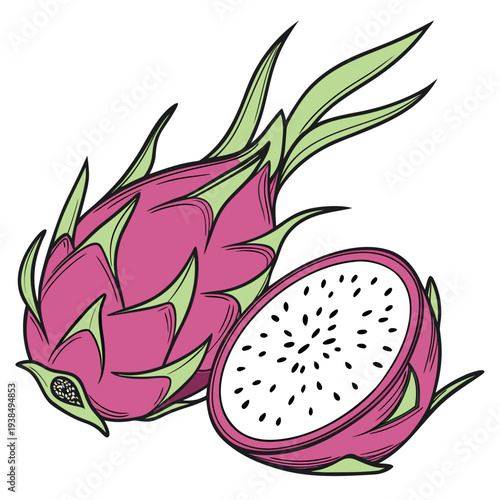 A vibrant illustration of a dragon fruit cut in half, revealing its pink flesh and black seeds Vector