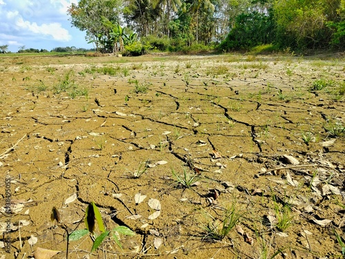 cracked dry rice field soil due to drought