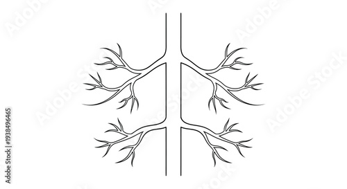 Anatomical Illustration of Human Lungs Diagram.