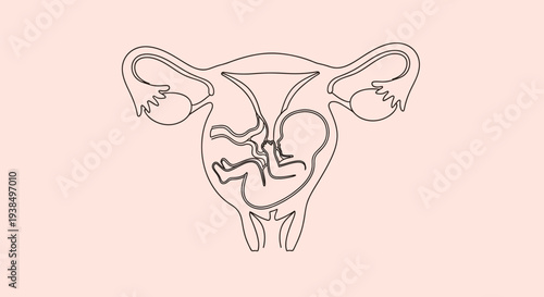 Female Reproductive System Anatomical Illustration.