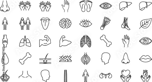 Human anatomy icons set, medical biology symbols, healthcare illustration, body parts design, physiology elements, educational graphics, health and wellness concepts