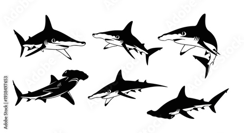 Collection of Shark Silhouettes: Hammerhead, Tiger, and Great White Sharks
