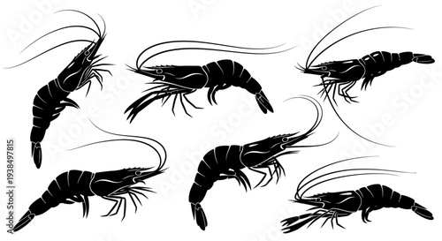 Collection of Black Shrimp Silhouettes on White Background - Seafood and Marine Life Illustration