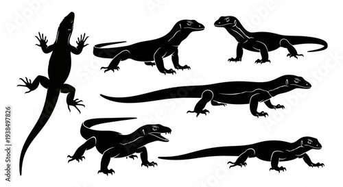 Collection of Black Silhouette Lizards in Various Poses