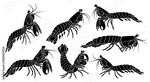 Collection of Black Silhouette Shrimp Illustrations on White Background