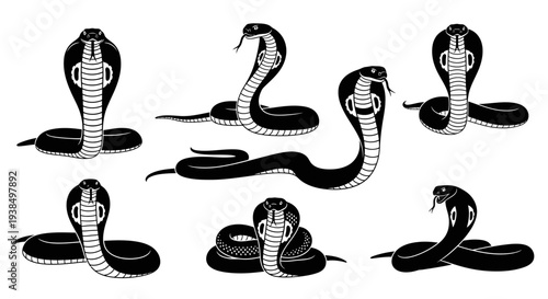 Collection of Cobra Snake Silhouettes in Various Poses