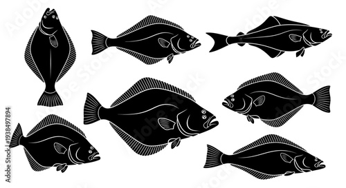Collection of Flatfish Silhouettes: Halibut, Flounder, Sole - Vector Illustrations
