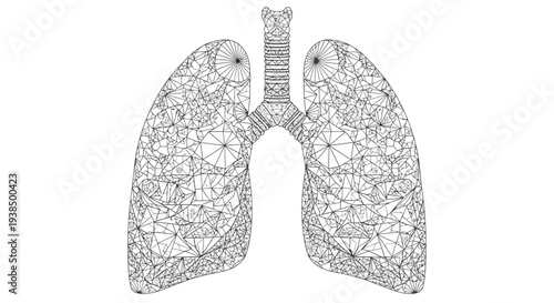 Detailed Illustration of Human Lungs Anatomy.