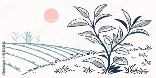 A vibrant field of sunflowers under a clear blue sky with a setting sun. Vector