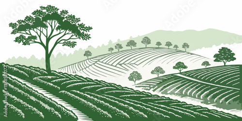 A serene landscape with a winding path through lush green fields and distant trees Vector