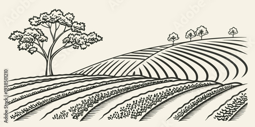 A serene landscape featuring a single tree on a rolling hillside Vector