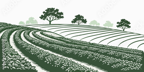 A serene landscape of rolling hills covered in lush green grass under a clear sky Vector