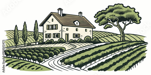A picturesque farmhouse nestled among rolling vineyards under a clear blue sky. Vector