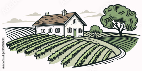 A picturesque vineyard with a charming house nestled among the rolling hills of grapevines. Vector