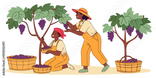 A farmer and a woman harvesting fruits from a tree and collecting them in baskets. Vector