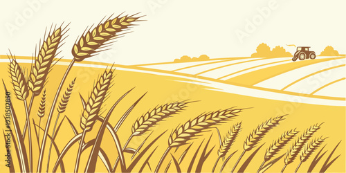 A serene landscape of golden wheat fields under a clear blue sky. Vector