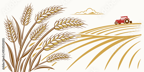A close-up view of a field of wheat with a red tractor in the background Vector