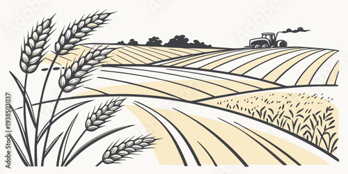 A serene landscape of golden wheat fields under a clear blue sky with scattered clouds. Vector