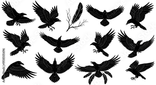 Collection of Black Raven Silhouettes in Various Poses - Flying, Perching, Spreading Wings
