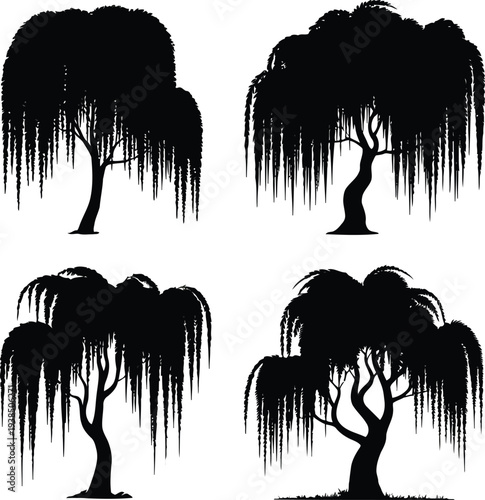 Set of four black weeping willow tree silhouettes on white background
