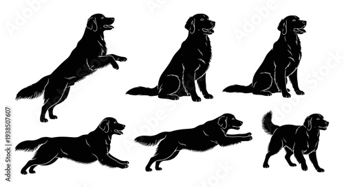 Golden Retriever Dog Silhouette Set: Various Poses, Isolated Black on White Background