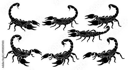 Group of Black Scorpions Silhouette on White Background, Danger Symbol