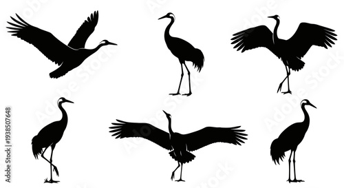 Crane Silhouettes: Collection of Six Poses - Flying, Standing, Spreading Wings
