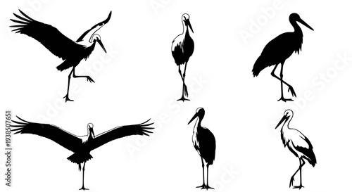 Crane Bird Silhouettes Collection: Flying, Standing, and Spreading Wings