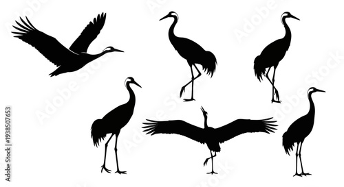 Crane Silhouettes: Collection of Elegant Bird Poses in Flight and Standing