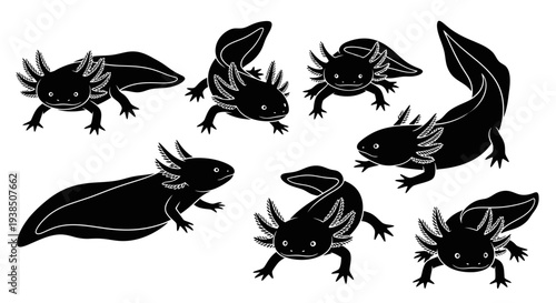 Cute Axolotl Silhouettes Collection: Black and White Cartoon Style
