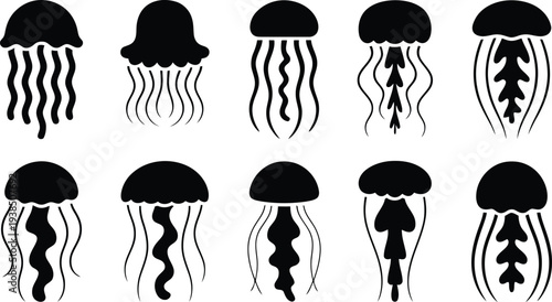 Collection of jellyfish silhouettes in various shapes and sizes