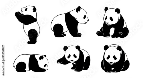 Cute Panda Bear Collection: Six Poses of Adorable Giant Pandas