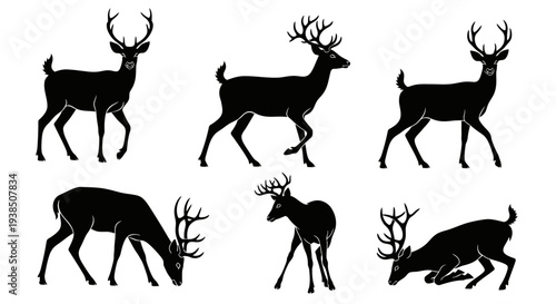 Deer Silhouettes Collection: Various Poses of Stag and Doe in Black and White