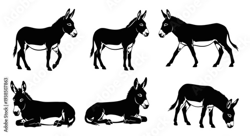 Donkey Silhouettes: Six Poses of a Farm Animal in Black and White
