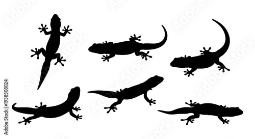 Gecko Silhouettes Collection: Diverse Poses of Small Lizards