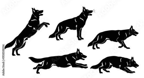 German Shepherd Dog Silhouette Set: Dynamic Poses of a Loyal Canine Companion
