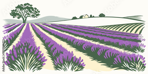 Vast lavender fields stretching towards the horizon under a clear blue sky Vector