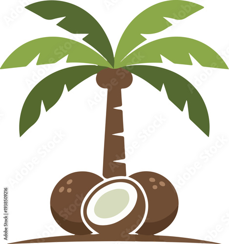 Minimalist coconut tree with coconuts and a halved coconut at its base, isolated on background