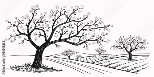 A serene landscape with two trees standing tall on a grassy hillside. Vector